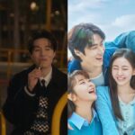 the divorce insurance, spring of youth kdrama